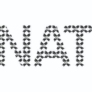 NAT-formulier