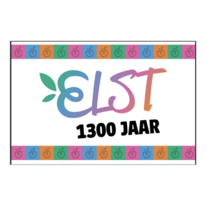 Elst 1300 vlag groot